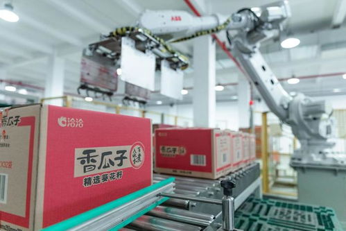 走進洽洽透明工廠，看一顆堅果如何驅(qū)動陜西外貿(mào)新質(zhì)生產(chǎn)力